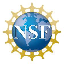 NSF logo